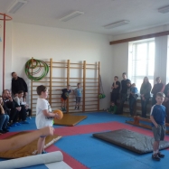 15. 2. Gymnastika - vystoupení pro rodiče