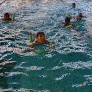 Plavání 2019