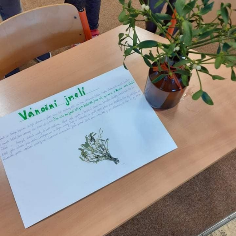 ZŠ prosinec 2020